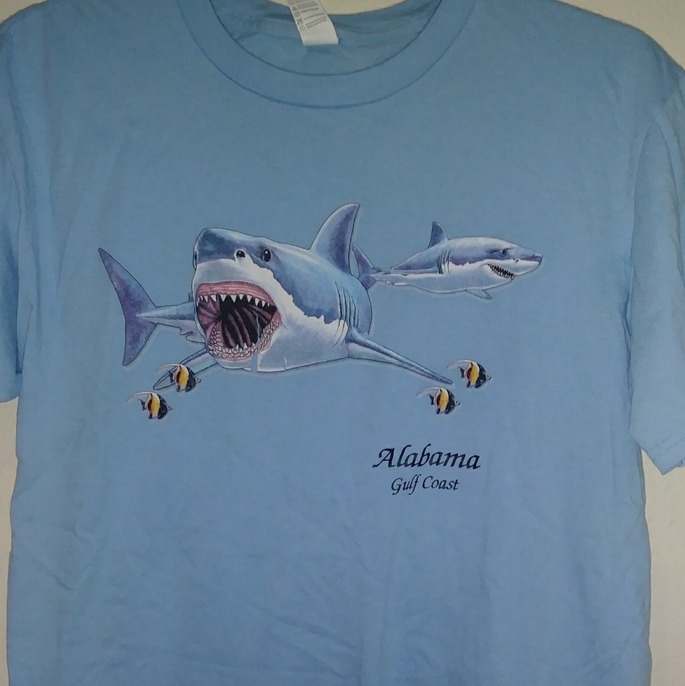 Fun shirt -no longer available